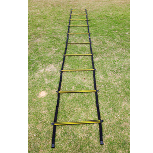 Brio Ladder